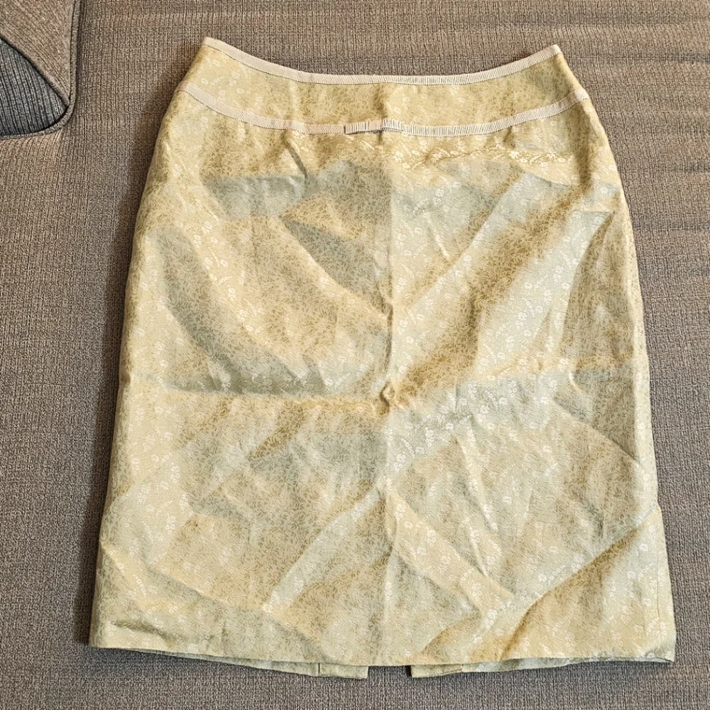 Ann Taylor Pastel Green Gold Silk Blend Delicate Detail Boho Lined Skirt Size 4P